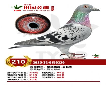 ֣����԰����210��