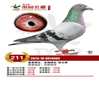 ֣����԰����211��