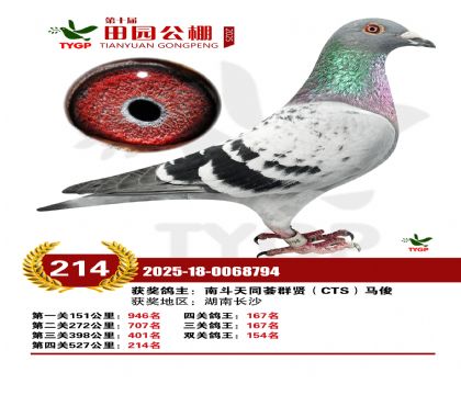 ֣����԰����214��