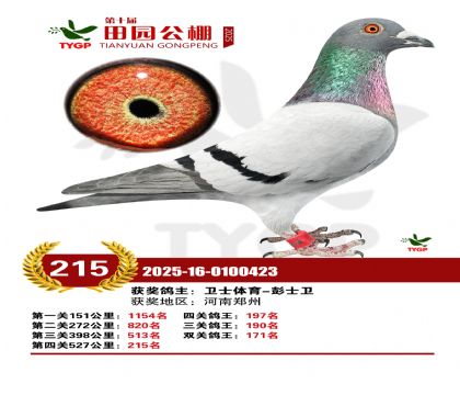 ֣����԰����215��