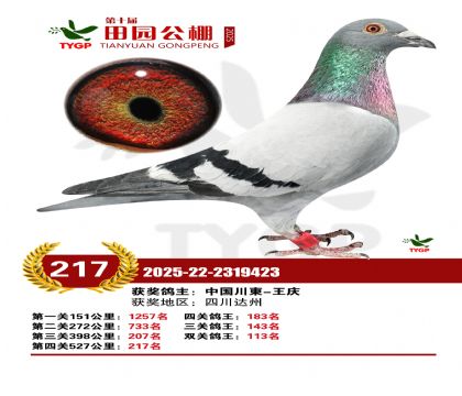 ֣����԰����217��