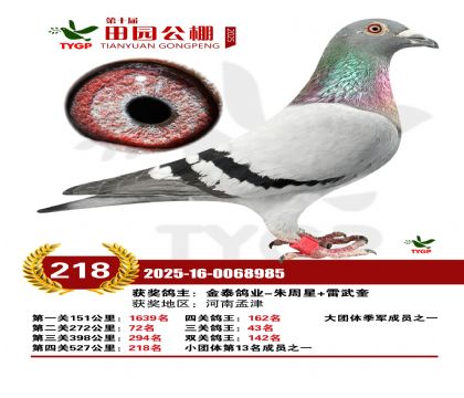 ֣����԰����218��