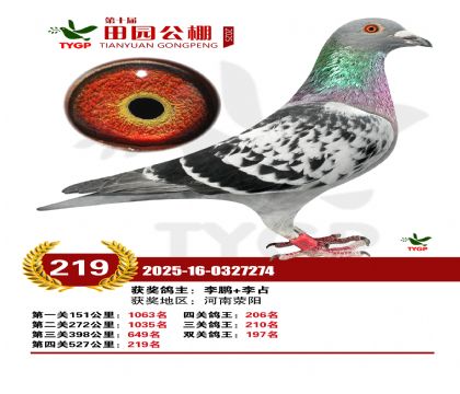 ֣����԰����219��