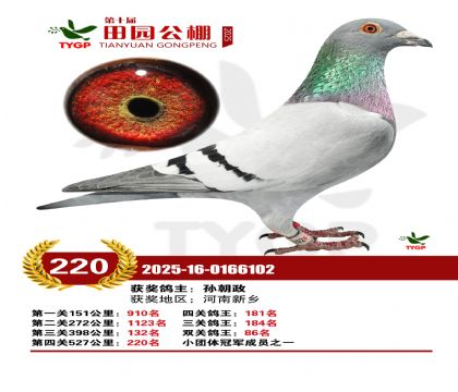 ֣����԰����220��