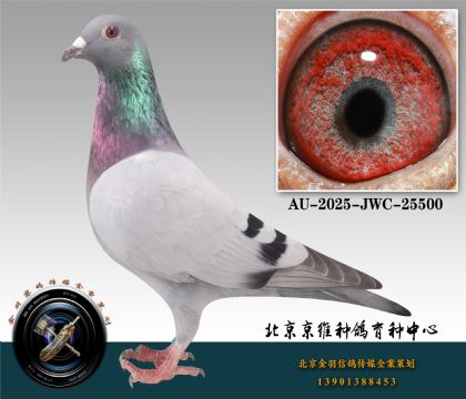 86-AU-2025-JWC-25500