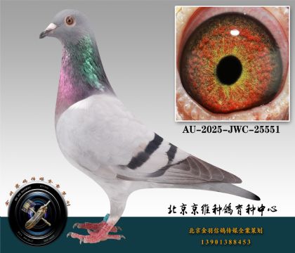 87-AU-2025-JWC-25551