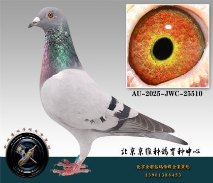 95-AU-2025-JWC-25510