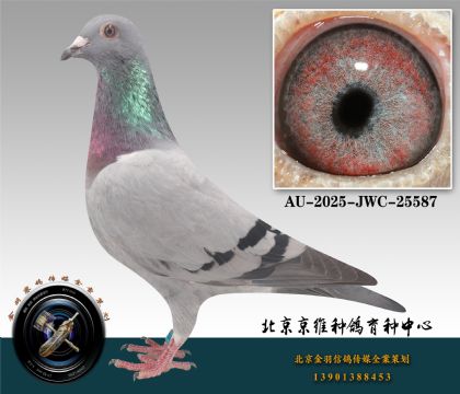 97-AU-2025-JWC-25587