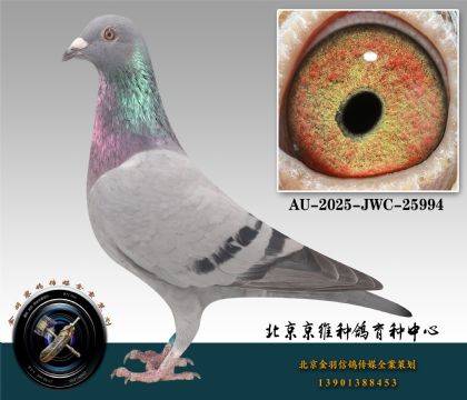 99-AU-2025-JWC-25994