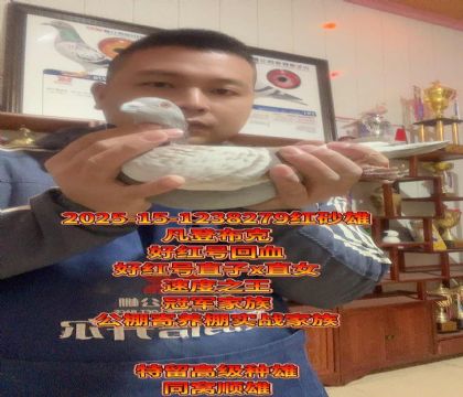 �ú��ֱ��xֱŮ��Ѫ�������ۣ�ͬ��˳��