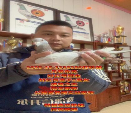 �ú��ֱ��xֱŮ��Ѫ�������ۣ�ͬ��˳��