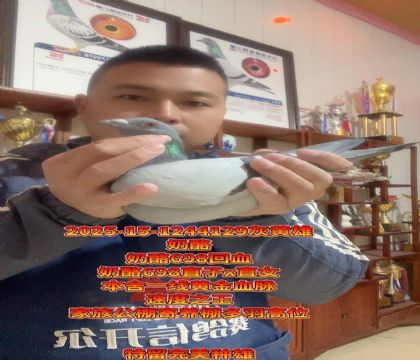 ����698ֱ��xֱŮ��Ѫ���ۣ��ٶ�����