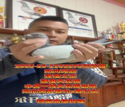 �컨��Ѫ���������޵�ֱ��xֱ��Ů��Ѫ����