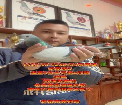 ����ʵս���ۣ����Ҹ���5��ȫ�ֵ�ֱ��