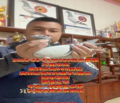 ����ƥ��006ֱ��xֱŮ���ƽ����߼�����