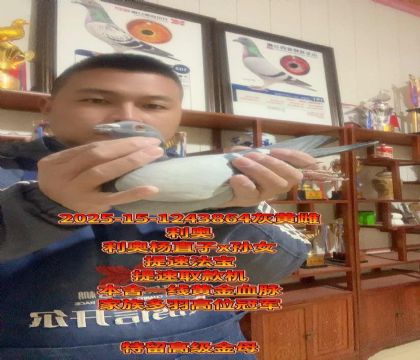 ���ٷ�����������ֱ��x��Ů����Ѫ��ĸ