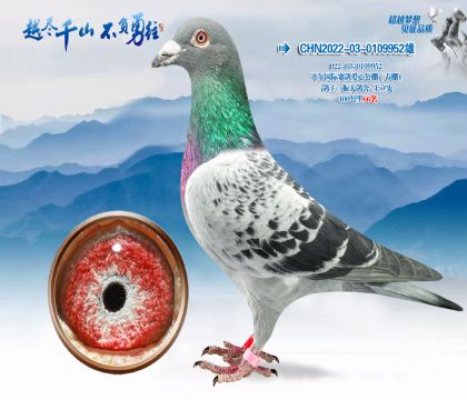 �����������밮�Ĺ�����400����66��