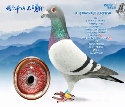 Ѫͳ��������С�ӡ�