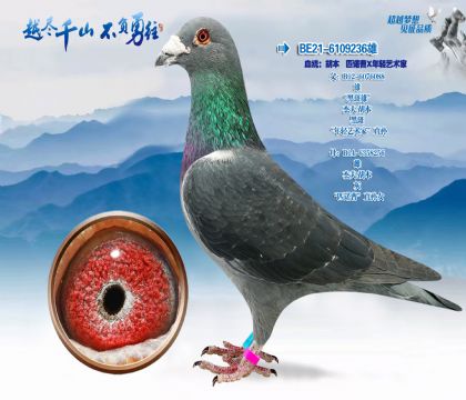 Ѫͳ������ƥŵ�ܡ�����������