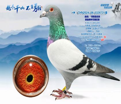 Ѫͳ�������ǽ����½�ķ���ֵܽ���