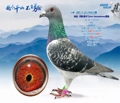 Ѫͳ����˹����i�ţ�JosVercammen)-ԭ��