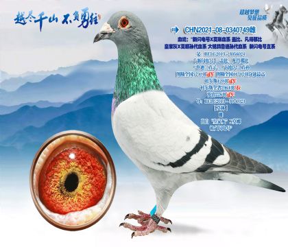 Ѫͳ���������XĪ��Ѫϵ-�Ǳ�ؼ�����ɱ�