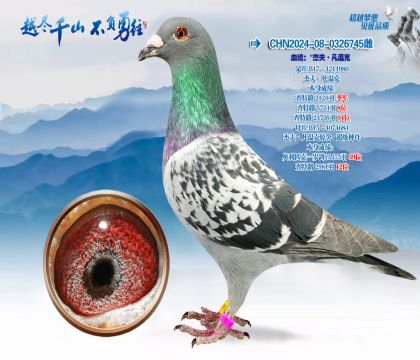 血统:“杰夫·凡温克