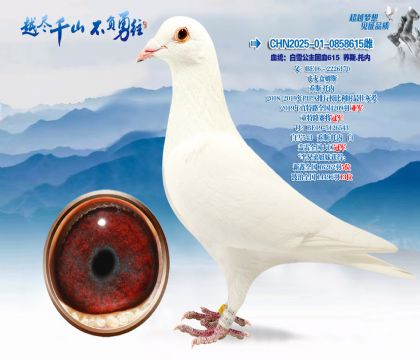 血统:白雪公主回血615乔斯.托内