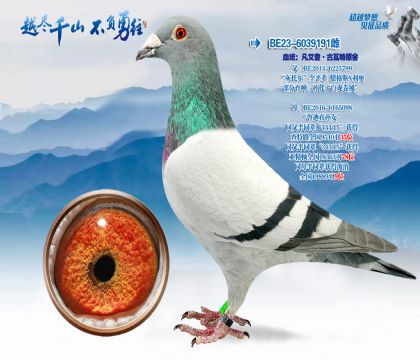 血统:凡艾登·古瓦特原舍