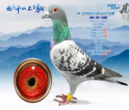 血统:杰夫·凡温克