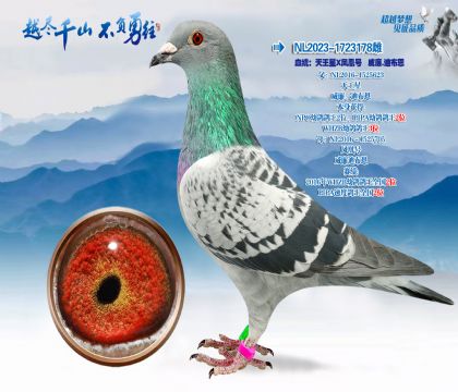 血统:天王星X凤凰号威廉.迪布恩