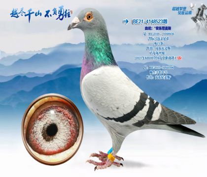 Ѫͳ������������˹