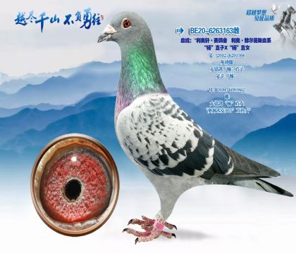 Ѫͳ���������������������¡��ն���˹Ѫϵ