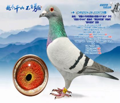 Ѫͳ��������С�Ӷ��ػ�Ѫ������С����Ů���Ӵ�