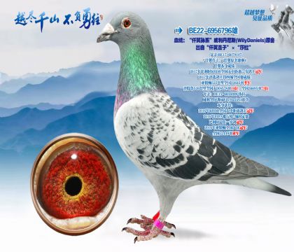 Ѫͳ����Ǫ����ϵ����������˹��WilyDaniels��ԭ��