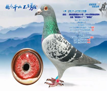 Ѫͳ����ʱ��¶��˿023��PIPAݼӢ��������