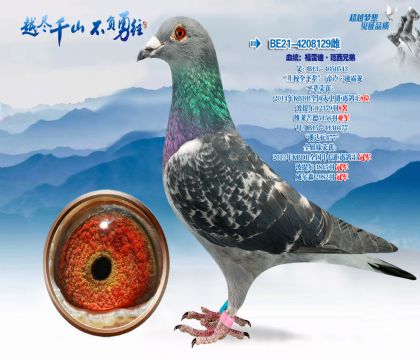 Ѫͳ�����׵ϡ������ֵ�