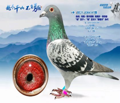 Ѫͳ�����¡��ն���˹��������������