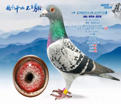 Ѫͳ��ŷԪ�š������