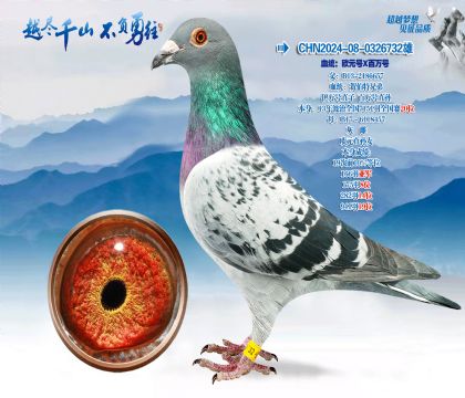 Ѫͳ��ŷԪ��X�����ֱϵ