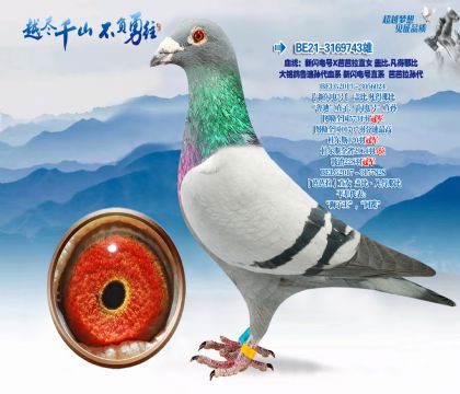 Ѫͳ���������X�Ű���ֱŮ�Ǳ�.�����Ǳ�