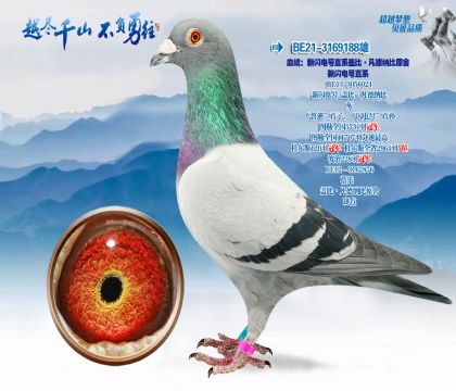 Ѫͳ���������ֱϵ�Ǳȡ������ɱ�ԭ���������ֱϵ