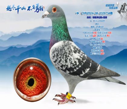 Ѫͳ��������˹xղɭ