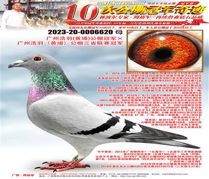 ݺ𣨻ңھݺ𣨻ңʡھ