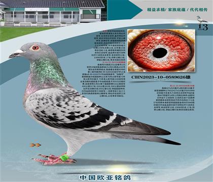 ղɭ251ֱ326X766ֱŮ848