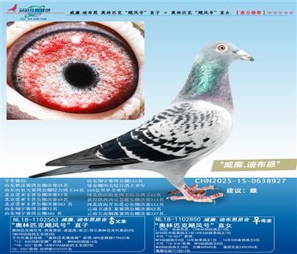 .ϲ ƥˡ쫷šֱ  ƥˡ쫷š