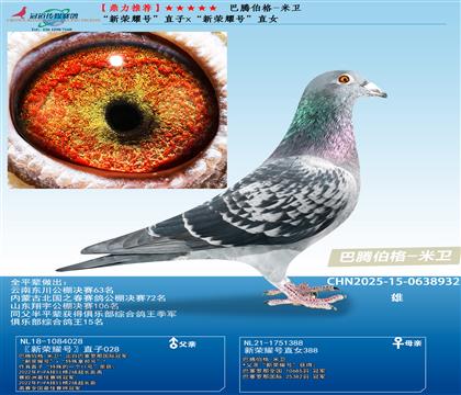 Ƽڲ- ҫšֱxҫšֱŮ