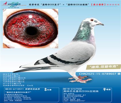 ǲˡض006ֱӡض006ȫá