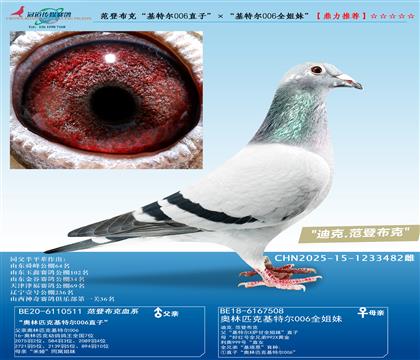 ǲˡض006ֱӡض006ȫá