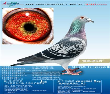 ˹޺ȫֵ/ȫֱֵŮ쫷šֱŮ